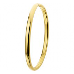 Gouden slaven armband dop 67x3mm - 203945
