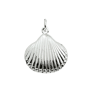 Zilvreren bedel schelp - 234572