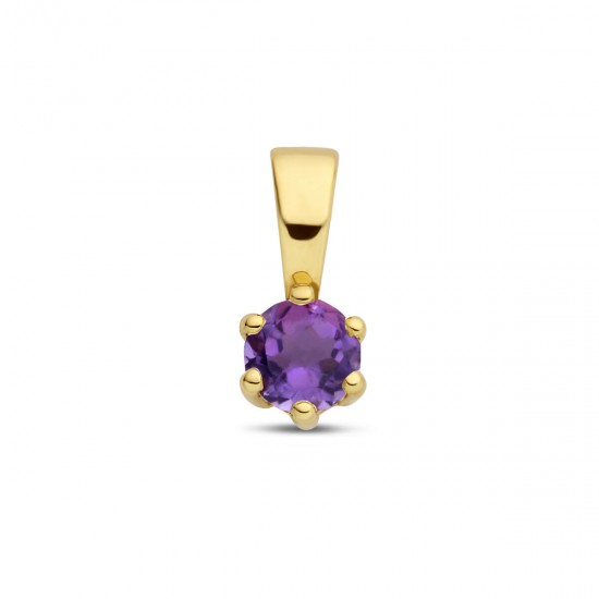 Gouden hanger met amethyst (februari) - 234835