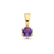 Gouden hanger met amethyst (februari) - 234835