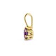 Gouden hanger met amethyst (februari) - 234835