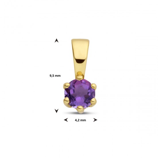 Gouden hanger met amethyst (februari) - 234835