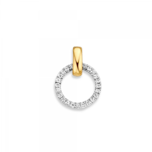 Gouden hanger bicolor met zirconia - 235748