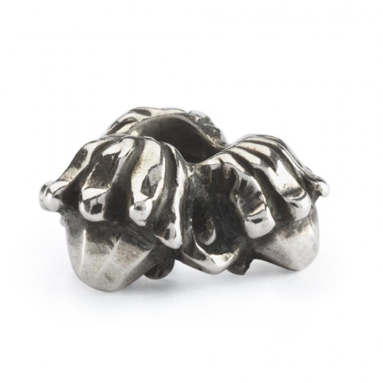 Trollbeads; eikendromen - 2008717