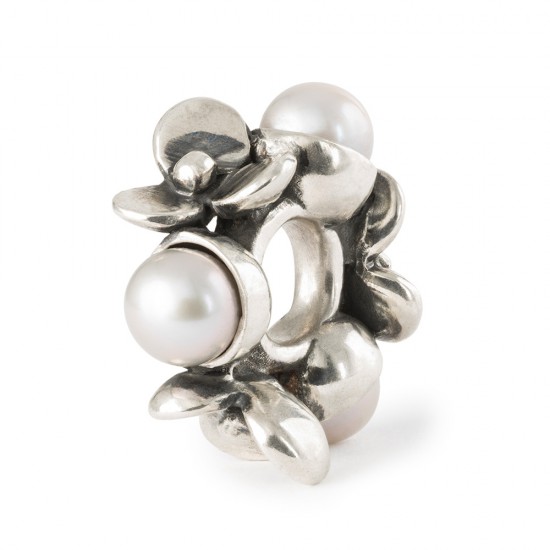 Trollbeads; parels van geduld - 2009191