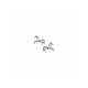 oorknoppen paard - 2010914