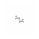 oorknoppen paard - 2010914