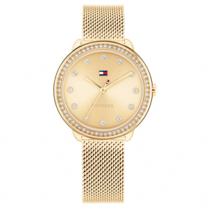 Tommy Hilfiger dames horloge Demi, 383mm goudkleur met mesh band - 2009475