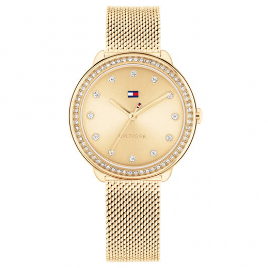 Tommy Hilfiger dames horloge Demi, 383mm goudkleur met mesh band - 2009475