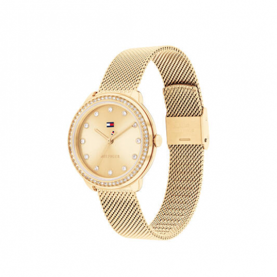 Tommy Hilfiger dames horloge Demi, 383mm goudkleur met mesh band - 2009475