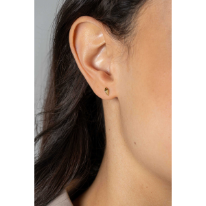 ZINZI Zlv. vergulde oorknopjes 3-d vliegervorm - 2009528