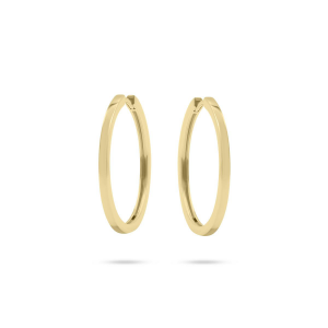 zilver vergulde klapoorringen 30mm vierkante buis - 2010513 zilver vergulde klapoorringen 30mm vierkante buis - 2010513