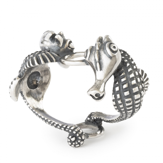 Trollbeads; Hanger van  oceaanwachters - 2010803