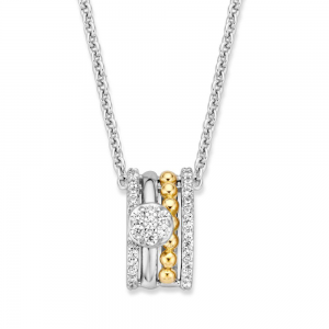 Excellent jewelry zilver met goud hanger - 2011711