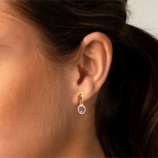 Zilver verguld oorhangers met roze steen - 2011824