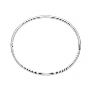 Zilveren bangle massief 64mm/6mm - 2011992