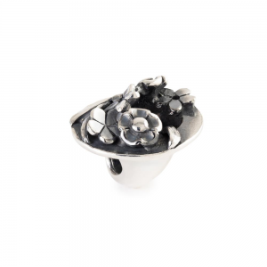Trollbeads; verzamelvreugde - 2012124