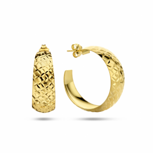 stekeroorringen gediamanteerd 1 micron - 2008048 stekeroorringen gediamanteerd 1 micron - 2008048