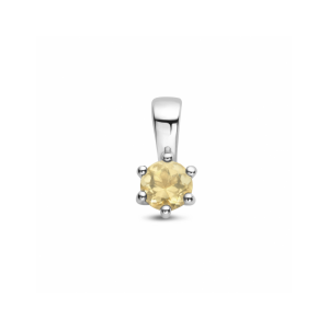 hanger met geboortesteen 10 mm - 2011472 hanger met geboortesteen 10 mm - 2011472