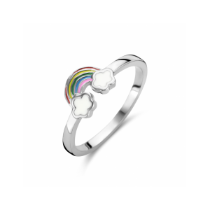 ring regenboog - 2010209