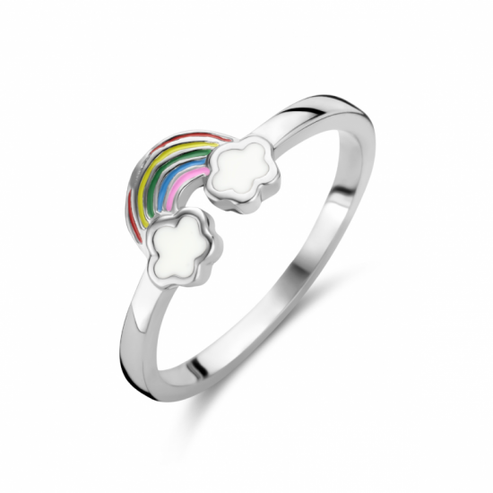 ring regenboog - 2010209