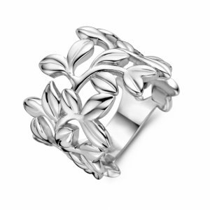 ring bladeren - 2011395 ring bladeren - 2011395