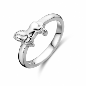 ring paard - 2010217