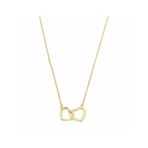 collier hartjes 41 - 43 - 45 cm - 2009038